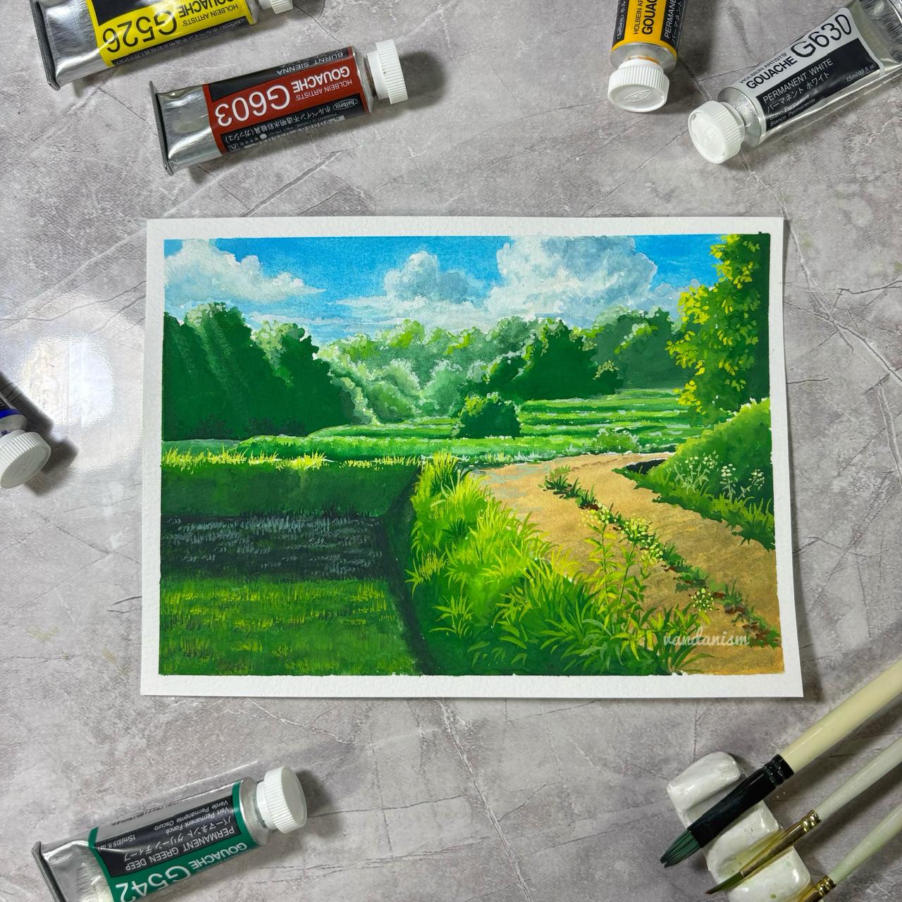 Green Rice Field